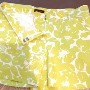 Limited summer 🩳 shorts